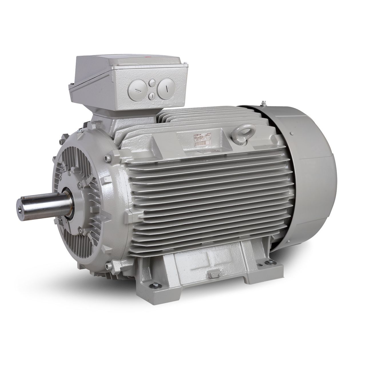 Electric motor